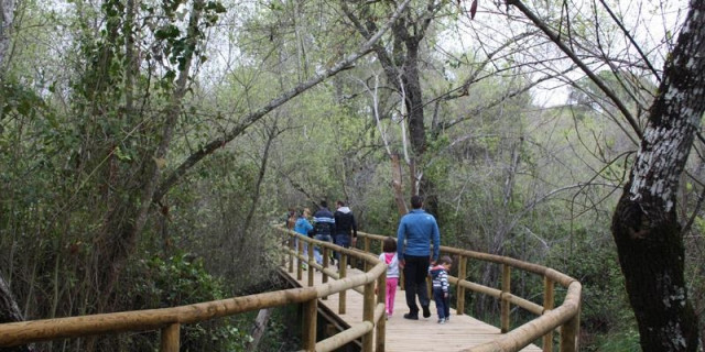 Archivo - Sendero en Doñana.