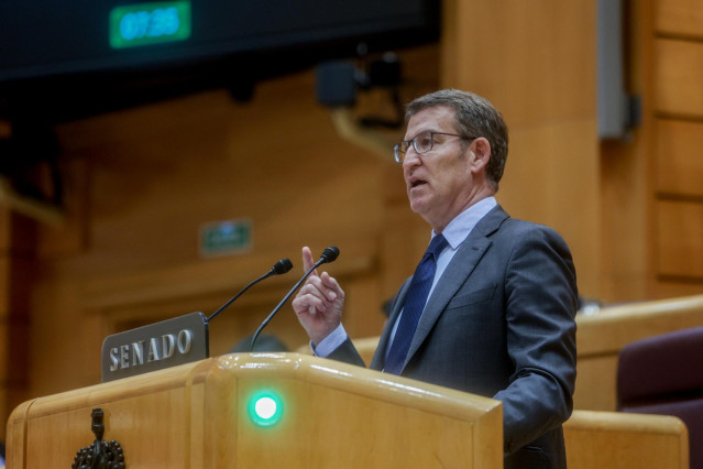 El líder del PP, Alberto Núñez Feijóo, interviene durante un pleno extraordinario del Congreso de los Diputados, en el Palacio del Senado, a 16 de enero de 2024, en Madrid (España).