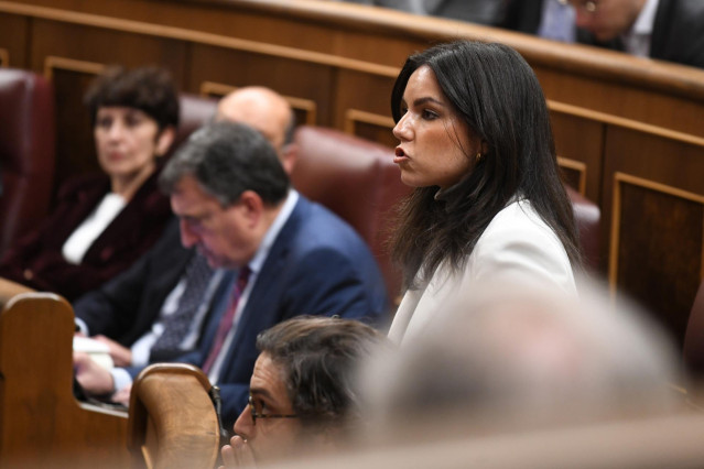 La portavoz de VOX en el Congreso, Pepa Millán, interviene durante una sesión plenaria, en el Congreso de los Diputados, a 30 de enero de 2024, en Madrid (España).