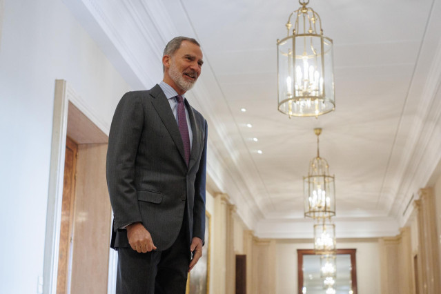 El Rey Felipe VI