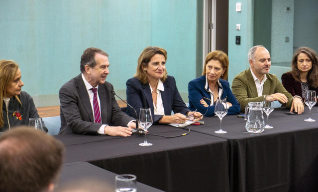 (I-D) En el centro, el alcalde de Vigo, Abel Caballero; la vicepresidenta tercera del Gobierno, Teresa Ribera; la cabeza de lista del PSdeG por la provincia de Pontevedra, Elena Espinosa y el cabeza de lista del PSOE al Congreso de los Diputados por la pr