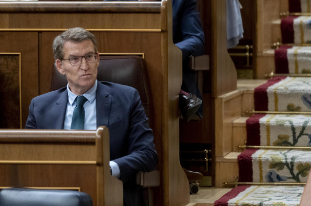 El presidente del Partido Popular, Alberto Núñez Feijóo, durante una sesión plenaria, en el Congreso de los Diputados, a 30 de enero de 2024, en Madrid (España).