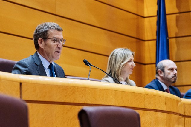 El presidente del Partido Popular, Alberto Núñez Feijóo (i), junto a la portavoz del PP en el Senado, Alicia García (c) y el presidente del Senado, Pedro Rollán (d), durante la reunión de los grupos parlamentarios del PP del Congreso y del Senado, en el S