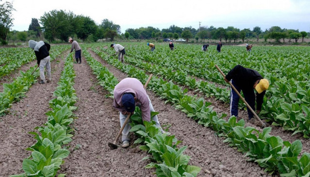Trabajadores en el campo