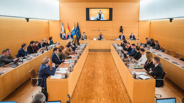 Pleno del Cabildo de Tenerife