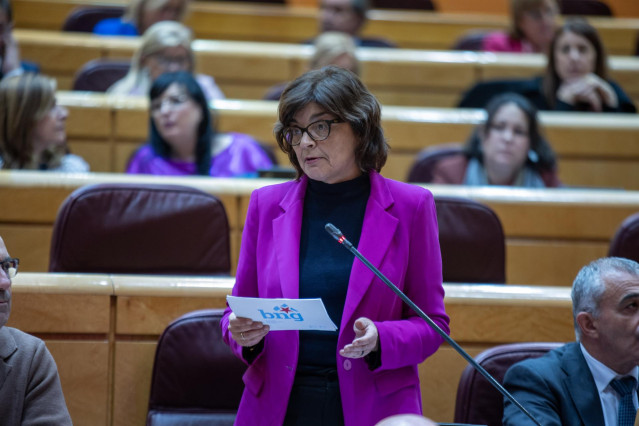 Archivo - La senadora del BNG, Carme da Silva