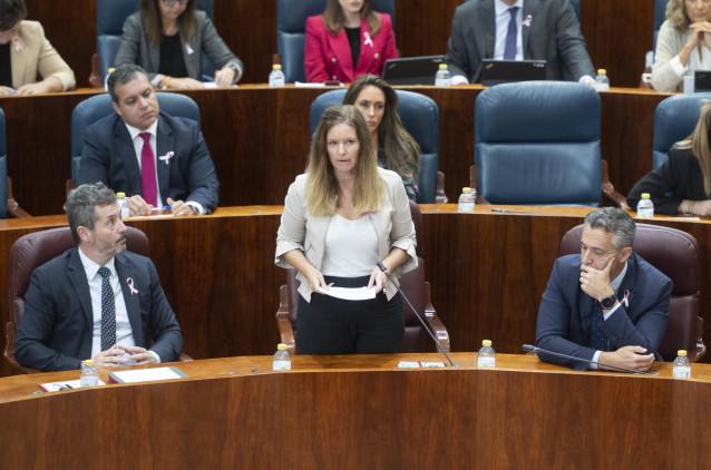 Archivo - La consejera de Familia, Juventud y Asuntos Sociales de la Comunidad de Madrid, Ana Dávila. Archivo.