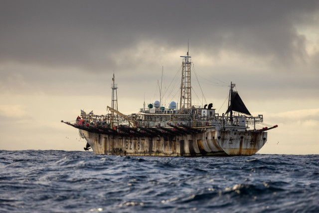 Barco pesquero