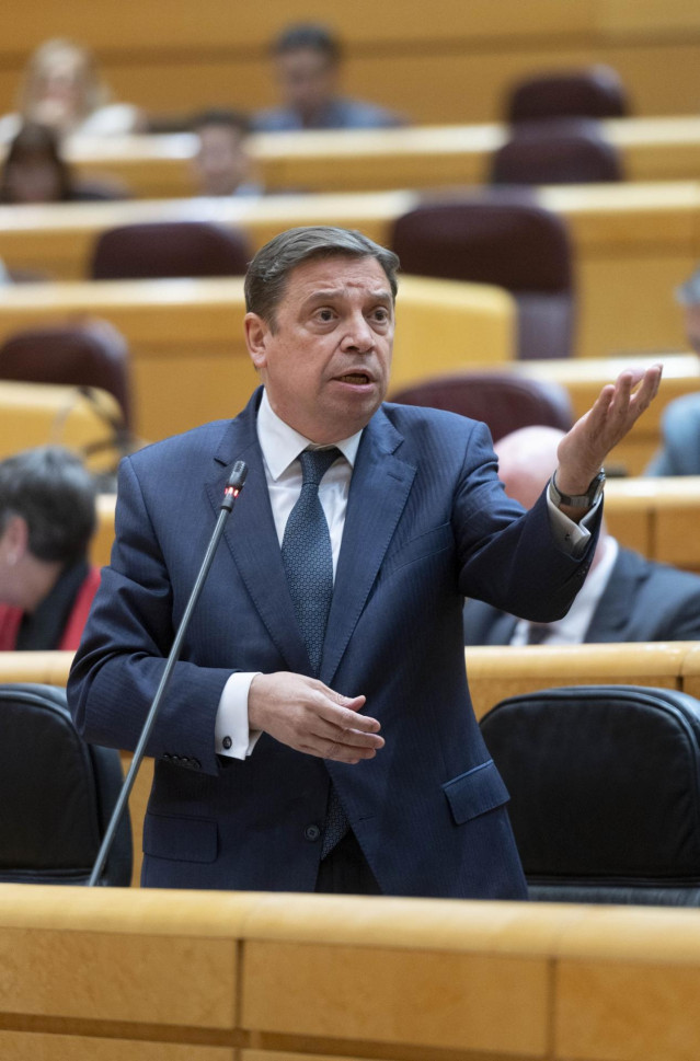 El ministro de Agricultura, Pesca y Alimentación, Luis Planas, interviene durante una sesión de control al Gobierno, en el Senado, a 5 de marzo de 2024, en Madrid (España). El 'caso Koldo' centra la sesión del control al Gobierno en el Senado, donde la vi