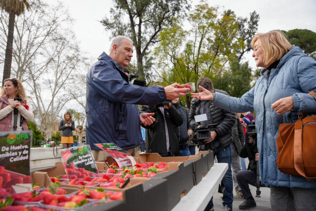 Representantes de UPA reparten fresas de Huelva a los viandantes en la Puerta de Jerez de Sevilla.