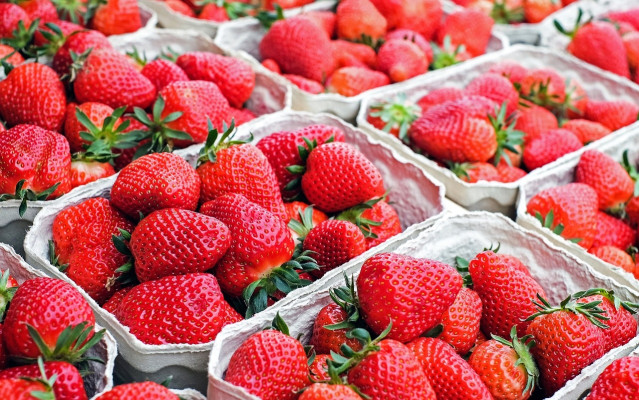 Archivo - Fresas