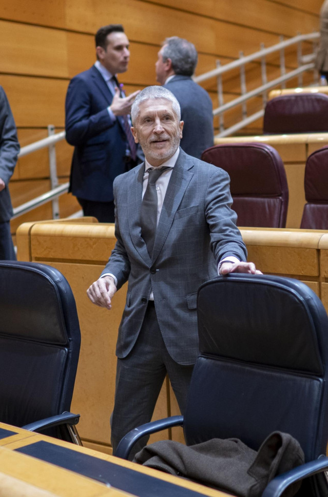 El ministro de Interior, Fernando Grande-Marlaska, durante una sesión de control al Gobierno en el Senado