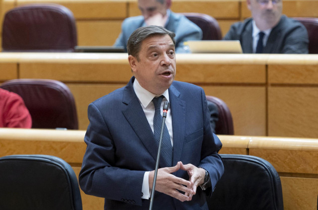 El ministro de Agricultura, Pesca y Alimentación, Luis Planas, interviene durante una sesión de control al Gobierno en el Senado