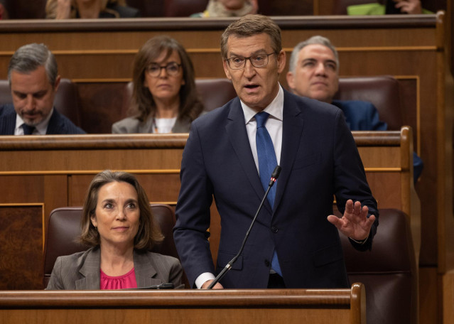 El líder del PP, Alberto Núñez Feijóo, interviene durante una sesión de control al Gobierno, en el Congreso de los Diputados, a 13 de marzo de 2024, en Madrid (España).