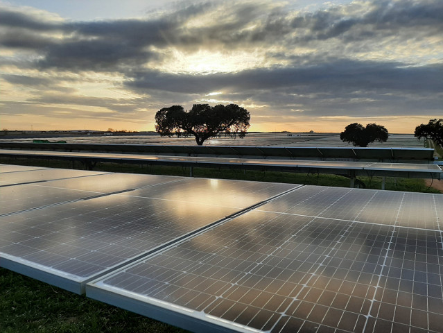 Paneles fotovoltaicos de Iberdrola
