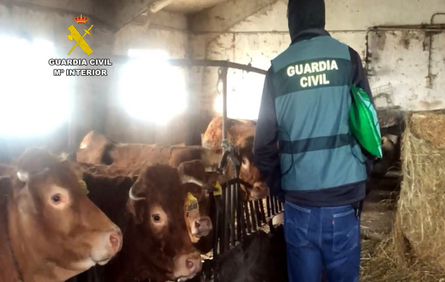 Tres detenidos por originar la enfermedad hemorrágica en el norte del país desde una cabaña de Miera.
