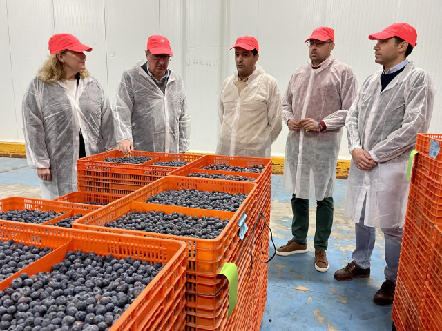 El presidente del PP de Huelva y parlamentario andaluz, Manuel Andrés González, en su visita a una cooperativa de Lucena del Puerto.