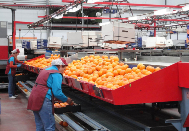 Cooperativa de naranjas.