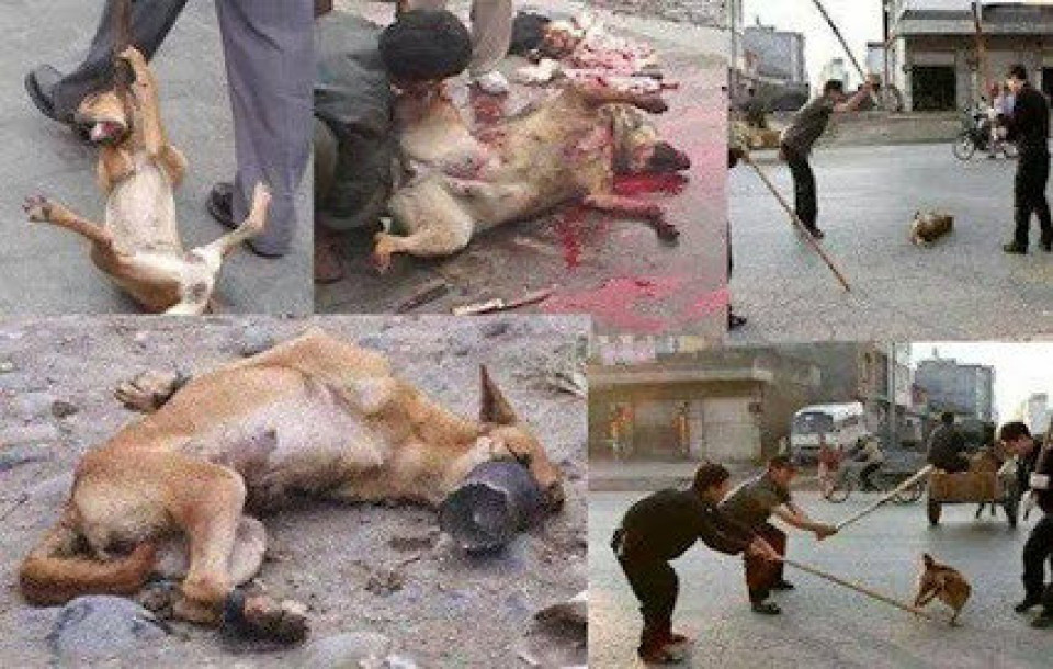 Yulin 3