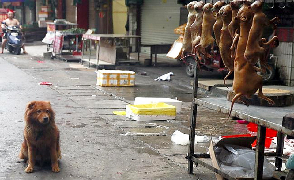 Yulin 2