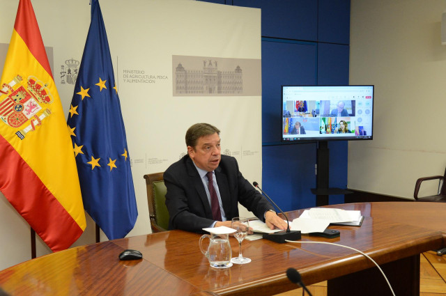 El ministro de Agricultura, Pesca y Alimentación, Luis Planas, en la reunión del Consejo Consultivo de Política Agrícola para Asuntos Comunitarios