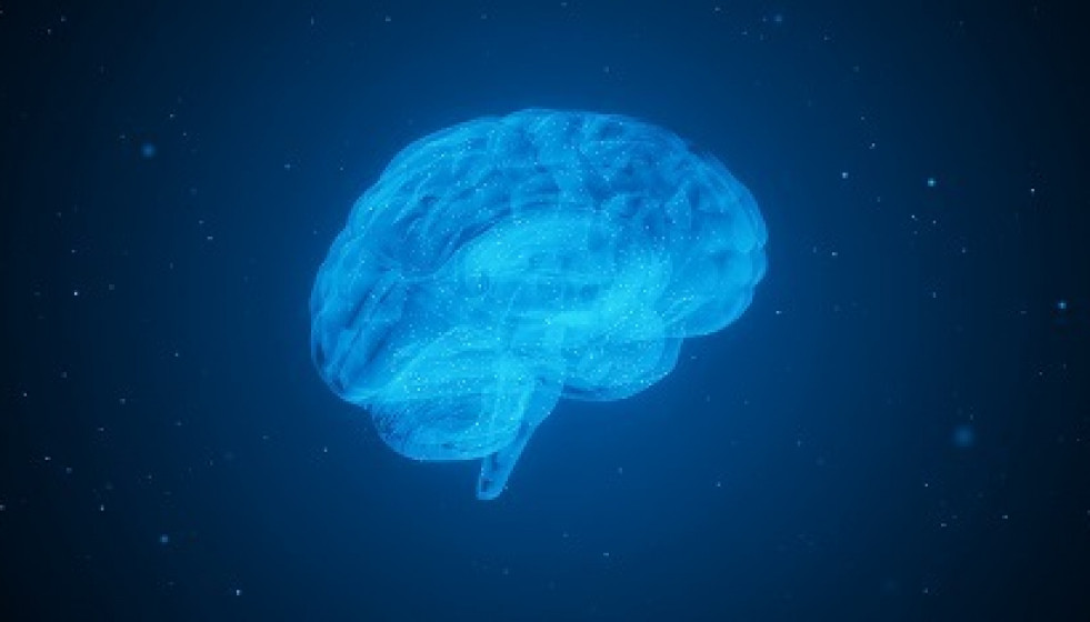 EuropaPress 5005435 cerebro demencia