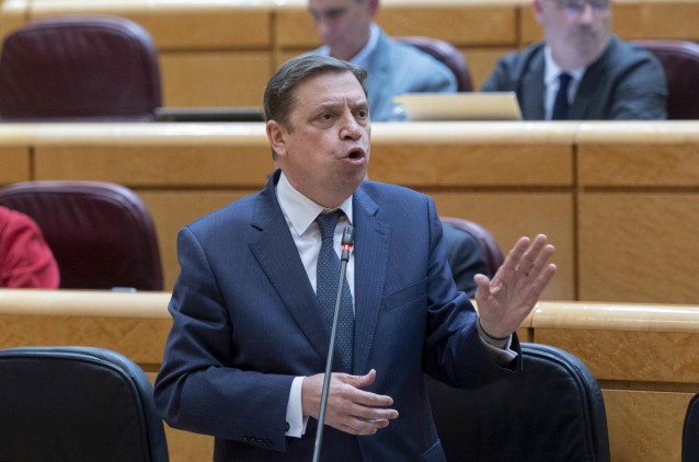 El ministro de Agricultura, Pesca y Alimentación, Luis Planas, interviene durante una sesión de control al Gobierno, en el Senado