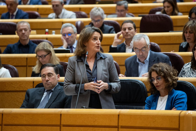 La vicepresidenta tercera y ministra para la Transición Ecológica y el Reto Demográfico, Teresa Ribera, durante un pleno en el Senado, a 19 de marzo de 2024, en Madrid (España). La Mesa del Senado ha dado el visto bueno a tramitar la proposición de Ley or