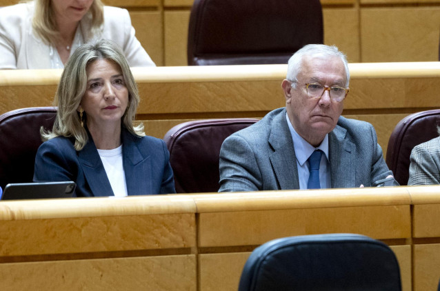 Archivo - La portavoz del PP en el Senado, Alicia García, durante una sesión plenaria en el Senado, a 25 de enero de 2024, en Madrid (España). La reforma del artículo 49 de la Constitución, referido a las personas con discapacidad, concluye hoy su tramita