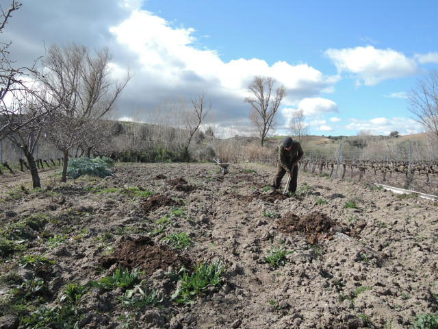 Archivo - Agricultor en el campo