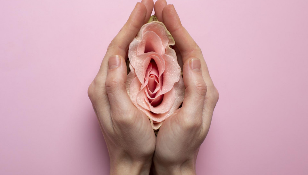 Woman holding rose hands reproductive system visualization