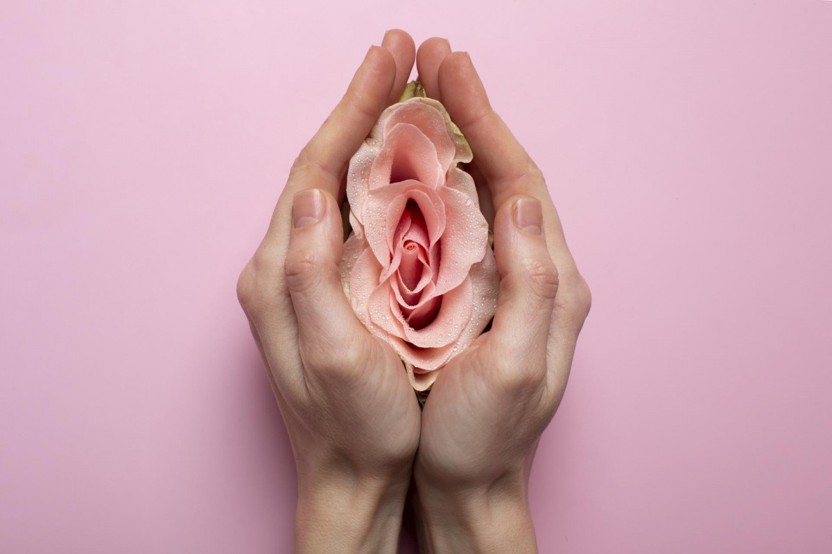 Woman holding rose hands reproductive system visualization