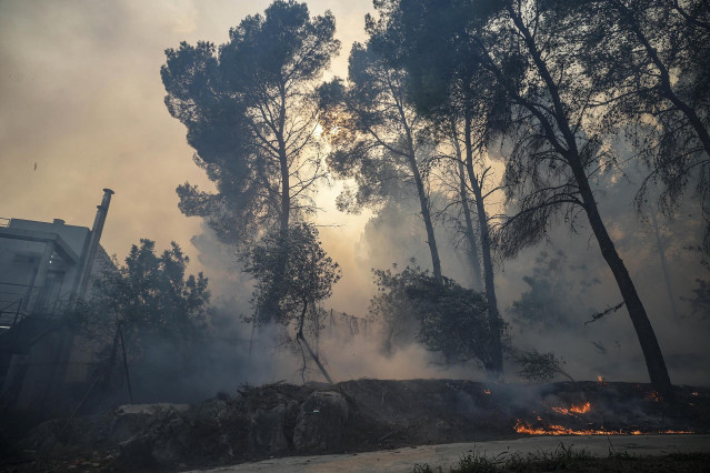 Archivo - Una zona afectada por el fuego de Montitxelvo