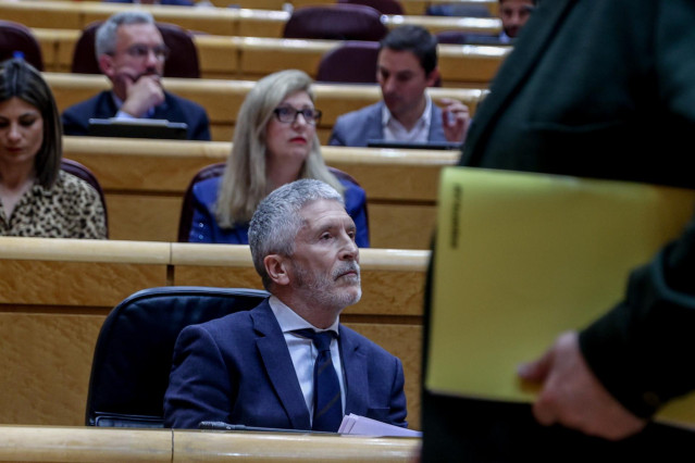 El ministro del Interior, Fernando Grande-Marlaska, durante una sesión de control al Gobierno en el Senado