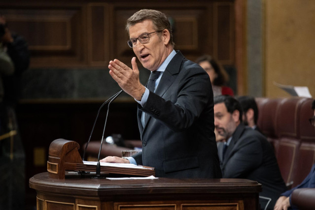 El líder del PP, Alberto Núñez Feijóo