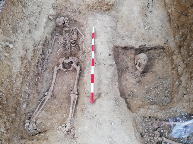 Archivo - El cuerpo de una mujer, recuperado en una fosa de Calvià dentro del Plan de Fosas.