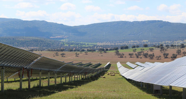 Planta fotovoltaica de Naturgy.