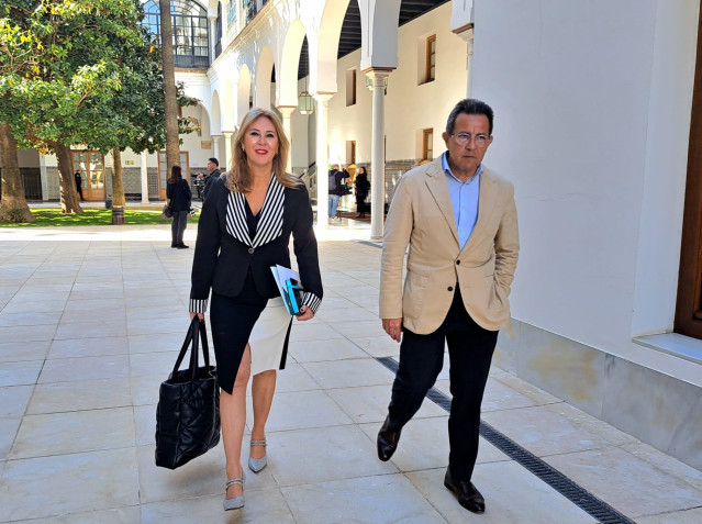 La consejera de Economía, Carolina España, en el pleno del Parlamento del 11 de abril de 2024.