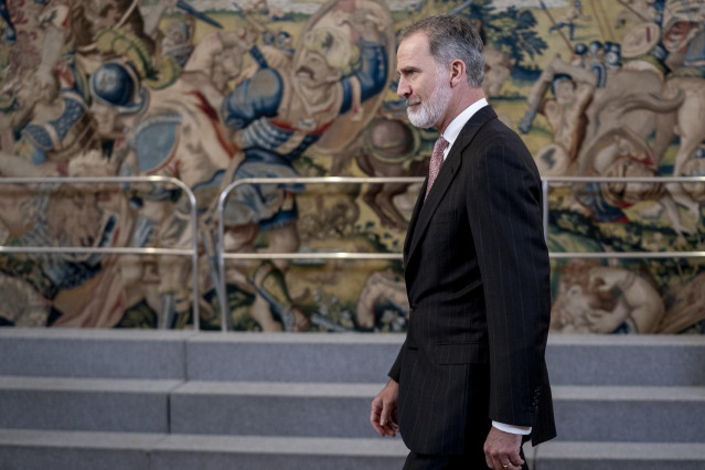 El Rey Felipe VI