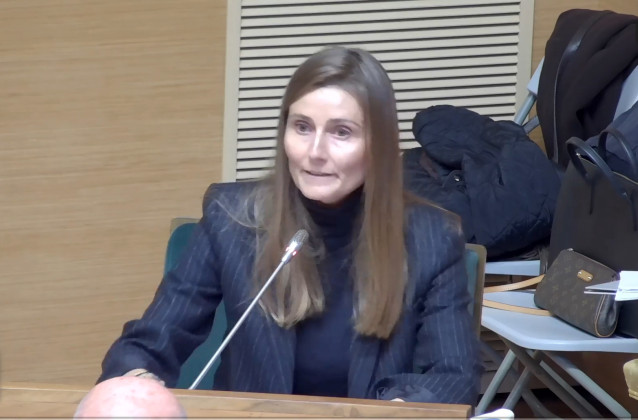 La concejala de Agricultura y Emprendimiento del Ayuntamiento de València, Cecilia Herrero, durante un pleno del consistorio