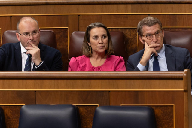 Archivo - El portavoz del PP en el Congreso, Miguel Tellado; la secretaria general del PP, Cuca Gamarra, y el presidente del PP, Alberto Núñez Feijóo, durante una sesión plenaria en el Congreso de los Diputados, a 5 de diciembre de 2023, en Madrid (España
