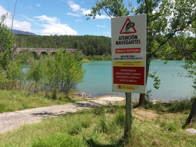 Archivo - Embalse de Yesa.