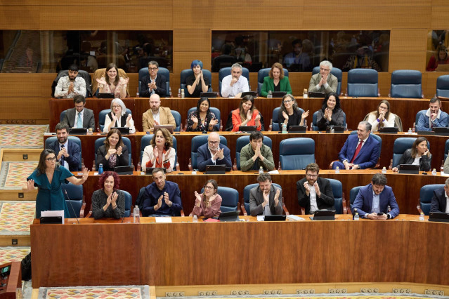 Manuela Bergerot, portavoz de Más Madrid en la Asamblea