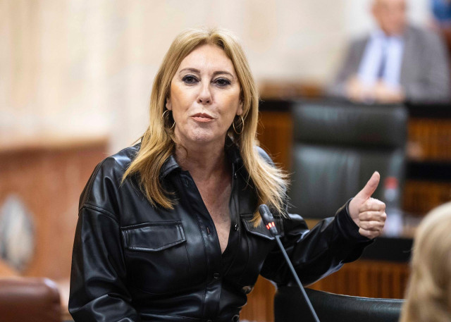 La consejera de Economía, Carolina España, en la sesión del Pleno del Parlamento del 2 de mayo de 2024.