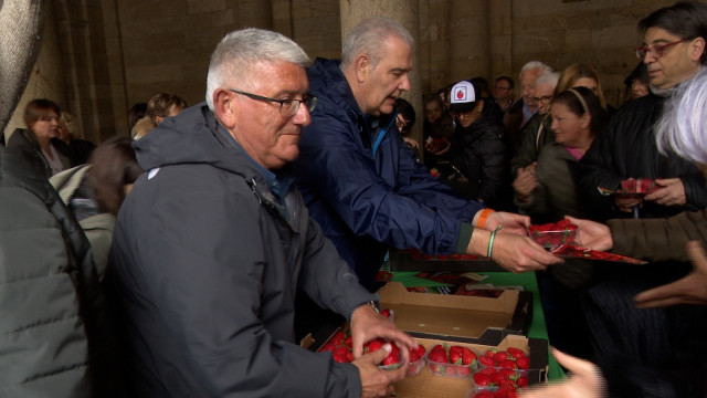 UPA Andalucía reparte fresas de Huelva en la Praza do Obradoiro, en Santiago de Compostela.