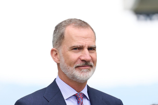 El Rey Felipe VI
