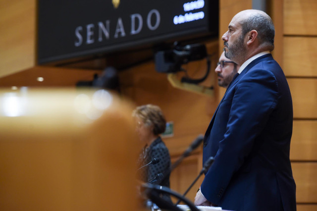 Archivo - El presidente del Senado, Pedro Rollán, durante una sesión de control al Gobierno en la Cámara Alta, a 6 de febrero de 2024, en Madrid (España).
