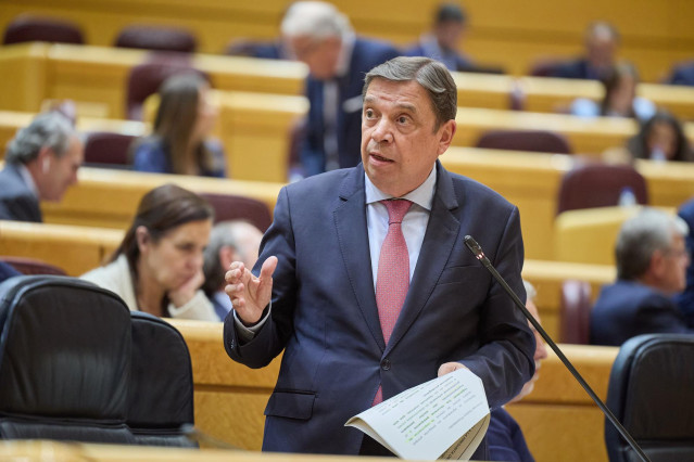 El ministro de Agricultura, Pesca y Alimentación, Luis Planas, durante una sesión de Control en el Senado