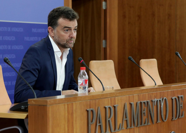 Archivo - El coordinador general de IULV-CA, Antonio Maíllo, en el Parlamento