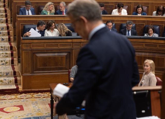 El presidente Pedro Sánchez en el banco azul del Congreso, con Alberto Núñez Feijóo en primer plano